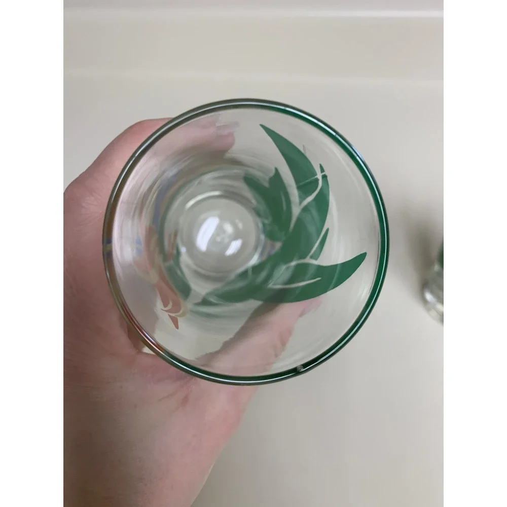 Vintage Libby Tropical glasses birds of paradise iris replacement set of 2